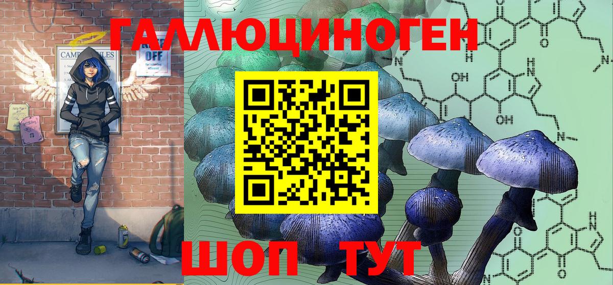 Псилоцибиновые грибы GOLDEN TEACHER  Вход с VPN  продажа наркотиков  Трёхгорный 